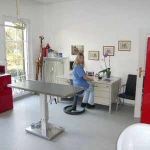 Ein Raum mit eine Ablagefläche und eine Frau die dahinter sitzt